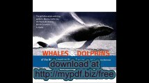 Whales and Dolphins of the North American Pacific Including Seals and Other Marine Mammals