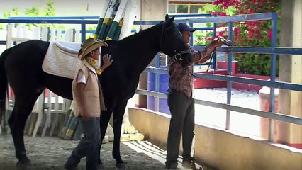 Donde está el cielo