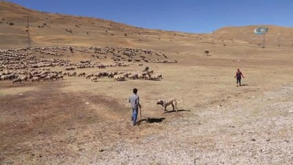 Kışın Gelmesiyle Birlikte Yaylacı Göçerler Dönüş Yolunda
