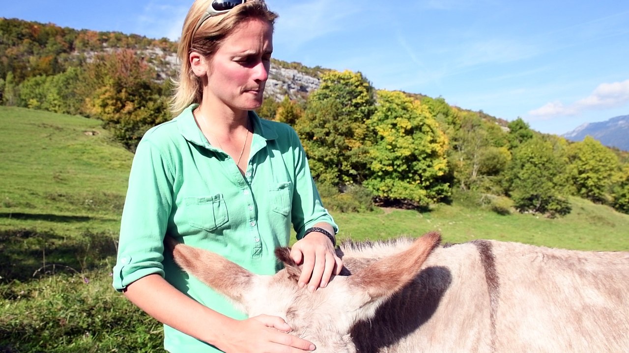 Anes tués par un chasseur: après le choc, la propriétaire des bêtes tente de reprendre pied
