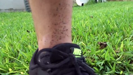 Join Us Live on Twitch Tonight! 🎥