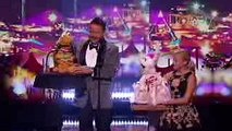 Darci Lynne and Terry Fator Deliver An Unbelievable Performance - America's Got Talent 2017