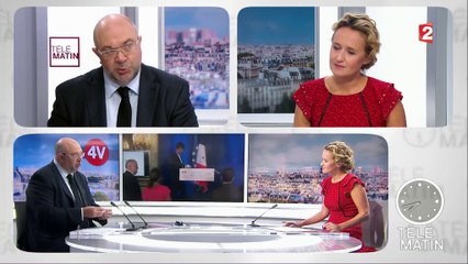 Les 4 Vérités - Glyphosate : "La France votera contre son renouvellement", assure le ministre de l'Agriculture