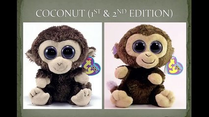 UPDATED VIDEO- ALL THE BEANIE BOOS IN THE WORLD IN 2016- 236 !!!!!!