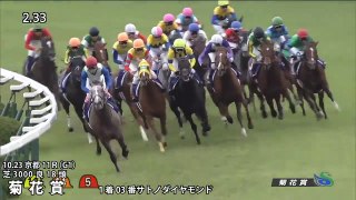 2016年 有馬記念の参考レース映像
