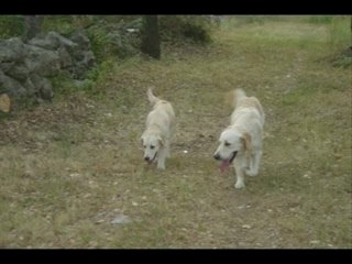 Anouchka et blubelle