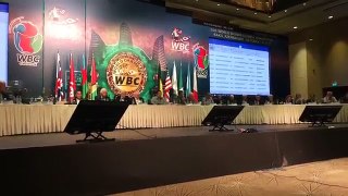 WBC Orders mikey Garcia vs Jorge Linares-qB5VlepjM1o