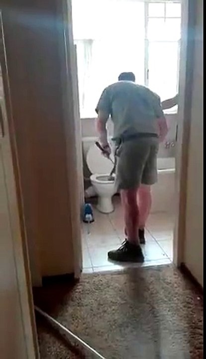 Déloger un serpent de tes toilettes... Chaud !!