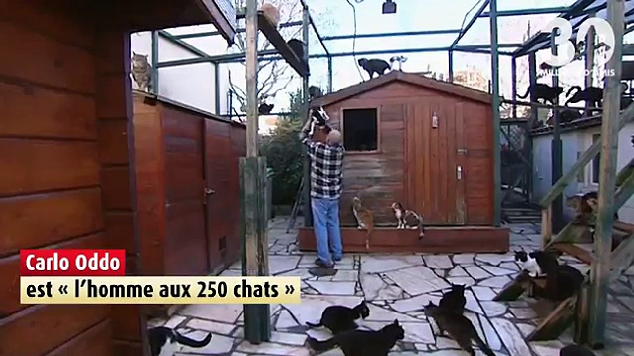 Incroyable : depuis près de 50 ans, cet homme ne cesse de venir en aide aux animaux. Découvrez son histoire incroyable !