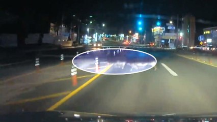 [단독] 갑작스레 뛰어든 멧돼지 떼, SUV와 '쾅' / YTN