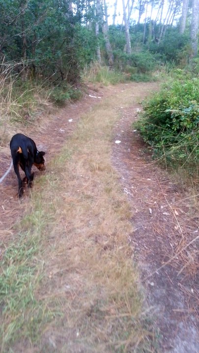 le "tu laisses?...c'est bien tu laisses!!" est bien utile parfois!