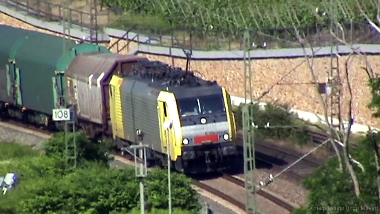 Züge beim Bopparder Hamm am Rhein, Dispolok 189, 3x 185, 2x 101, 460