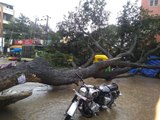 Bengaluru Rain : heavy rains wreak havoc again in Bengaluru and some areas are flooded
