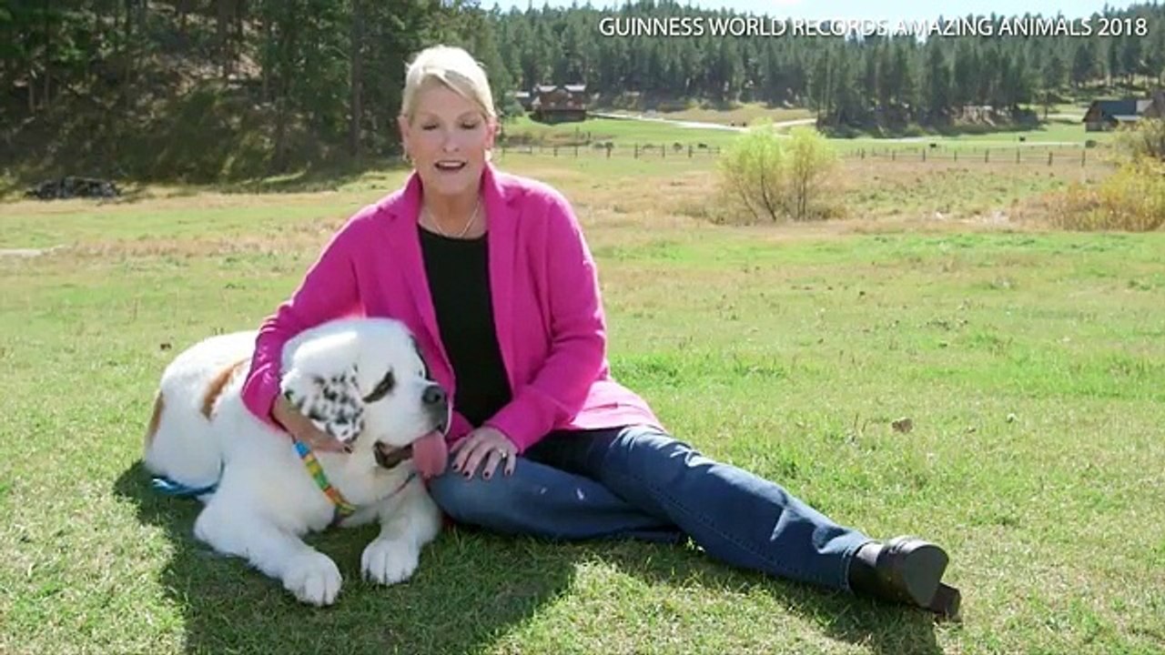 Van az a méretű nyelv, amely már ijesztően hosszú