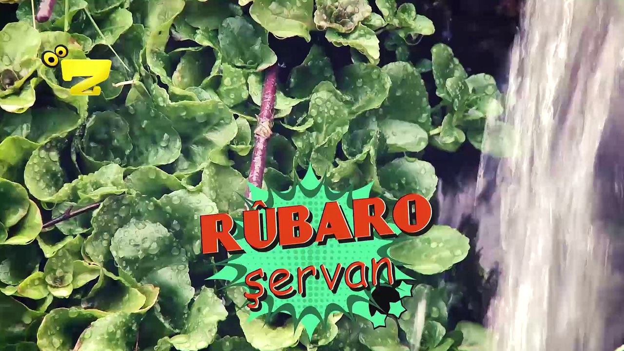 Zarok TV - Rûbaro