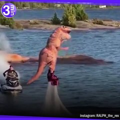 Un T-Rex dans un monde d'humains !