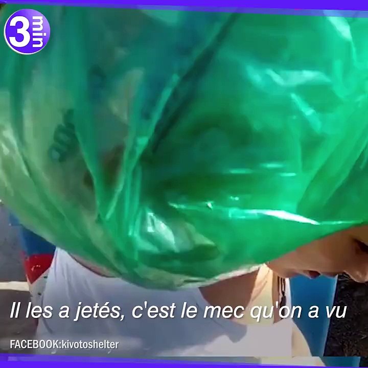Sauvetage de bébés chats jetés dans la poubelle