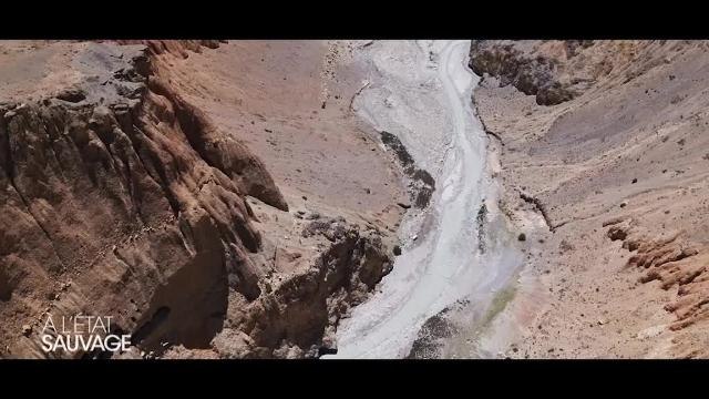 Shy'm dans à l'Etat Sauvage