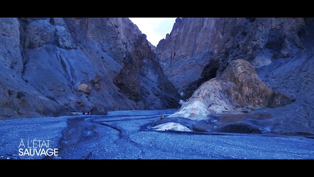 Les premières images de A l'état sauvage avec Shym