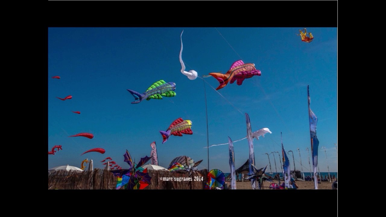 (diapo) Cerf volant portiragne 2013