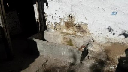 Yaşlı Kadının Bulduğu Kutu Elinde Bomba Gibi Patladı