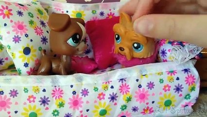 LPS: Funny Bloopers!