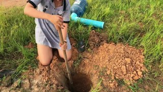 Awesome!! Clever Girl Creative Fish Trap Using PVC And Plastic Bottle To Catch A Lot of Fi