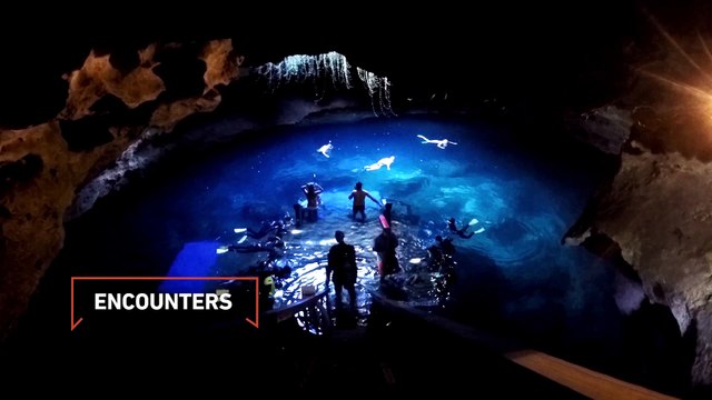 Scuba Diving Encounters: Visiting Devil's Den in Williston, Florida