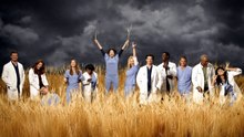 (New) Grey's Anatomy Season 14 Episode 3 (Watch Online)