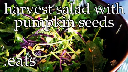 Chef Micheal's Kitchen - Harvest Salad with Pumpkin Seeds