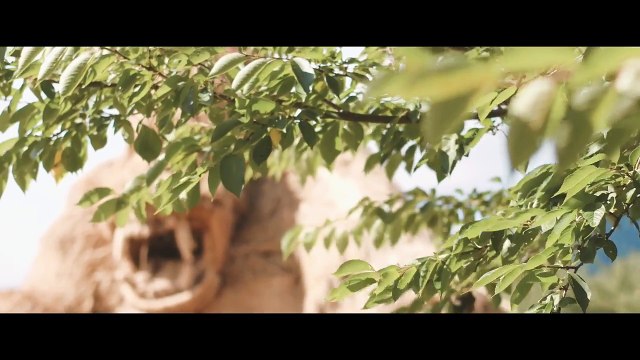 Japon : Festival d'art Wara 2017