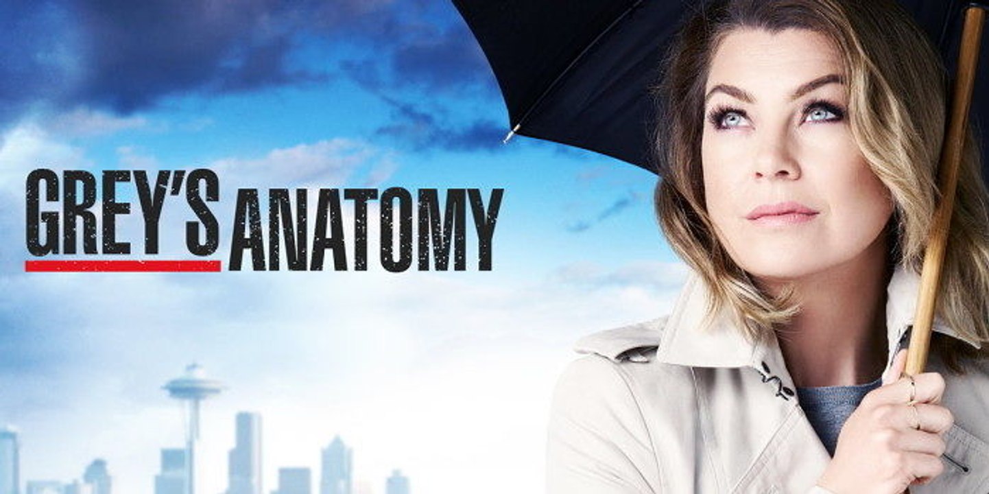 Grey's Anatomy Saison 14 Episode 3 Streaming Vostfr (HD)