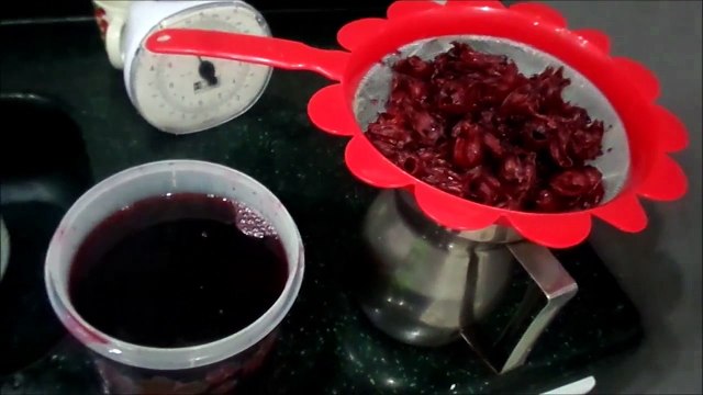 Beneficios de la flor de jamaica