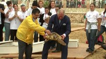 Prince Charles releases a sea turtle into the ocean