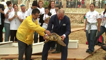 Prince Charles releases a sea turtle into the ocean