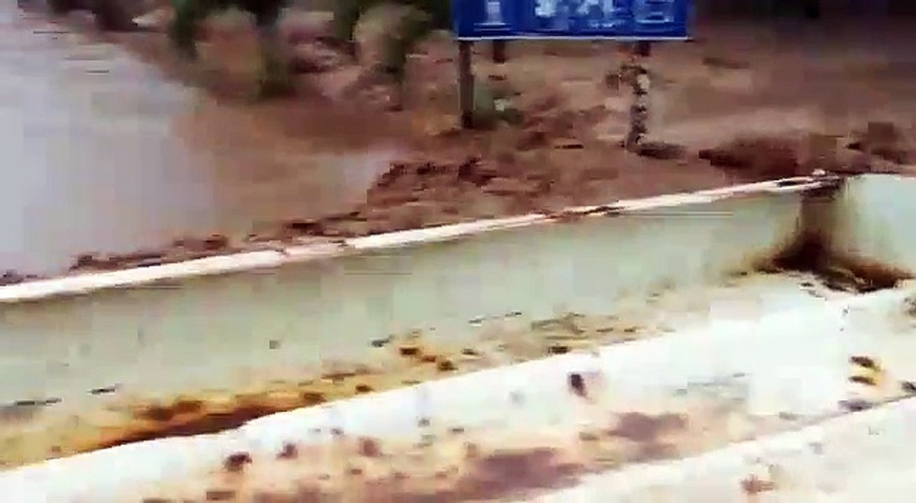 Parrita