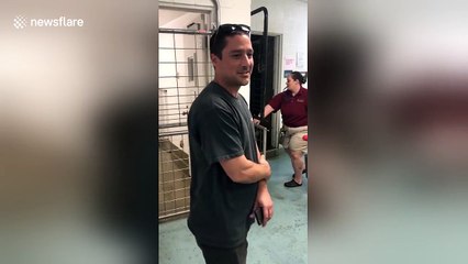 Rescuer reunited with blind sea lion after 7 years