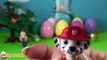 Paw Patrol 12 Surprise Eggs Toy Figures | Ryder Chase Rubble Marshall Zuma Rocky Skye & Vehicles