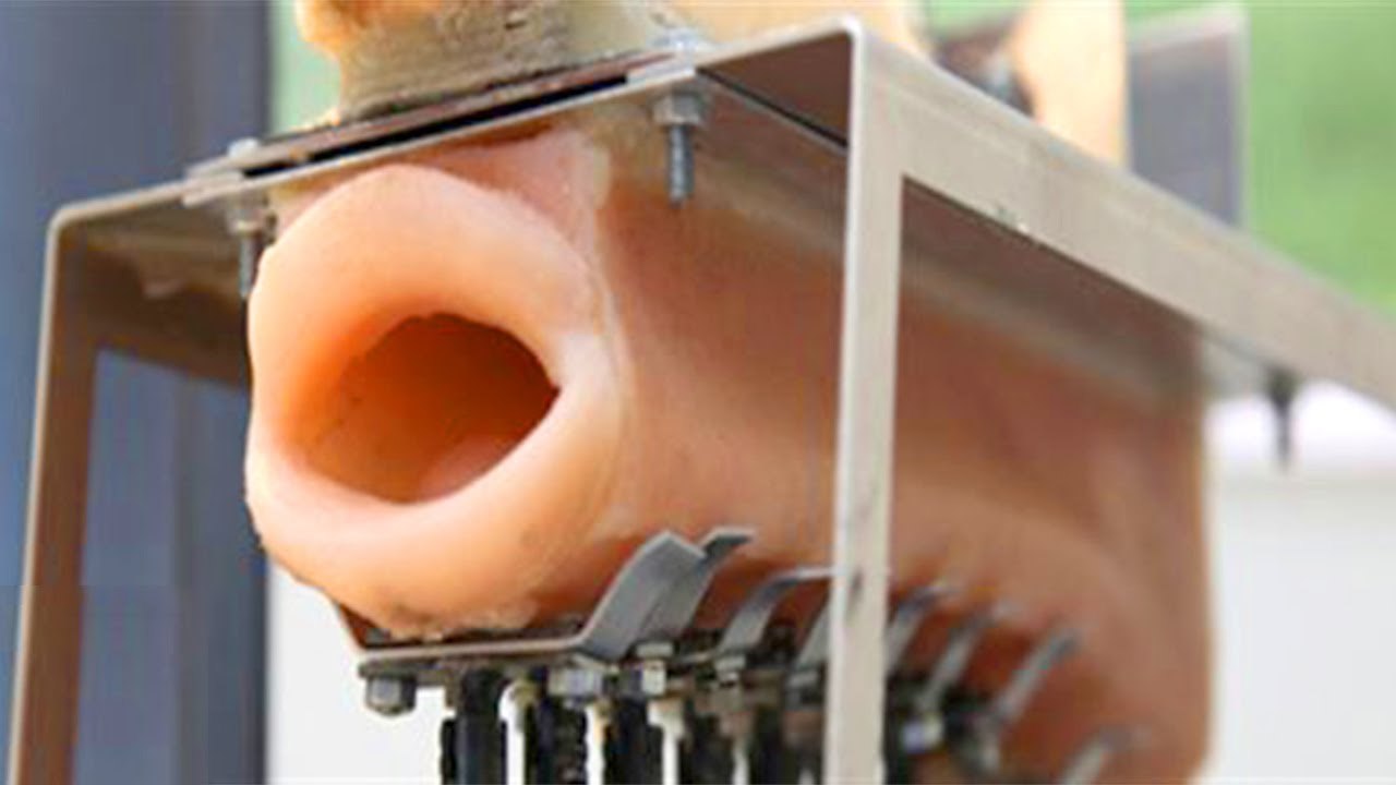 Görmeniz Gereken 5 Şaşırtıcı Buluş