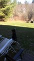 Un chien confond la Lune avec une balle