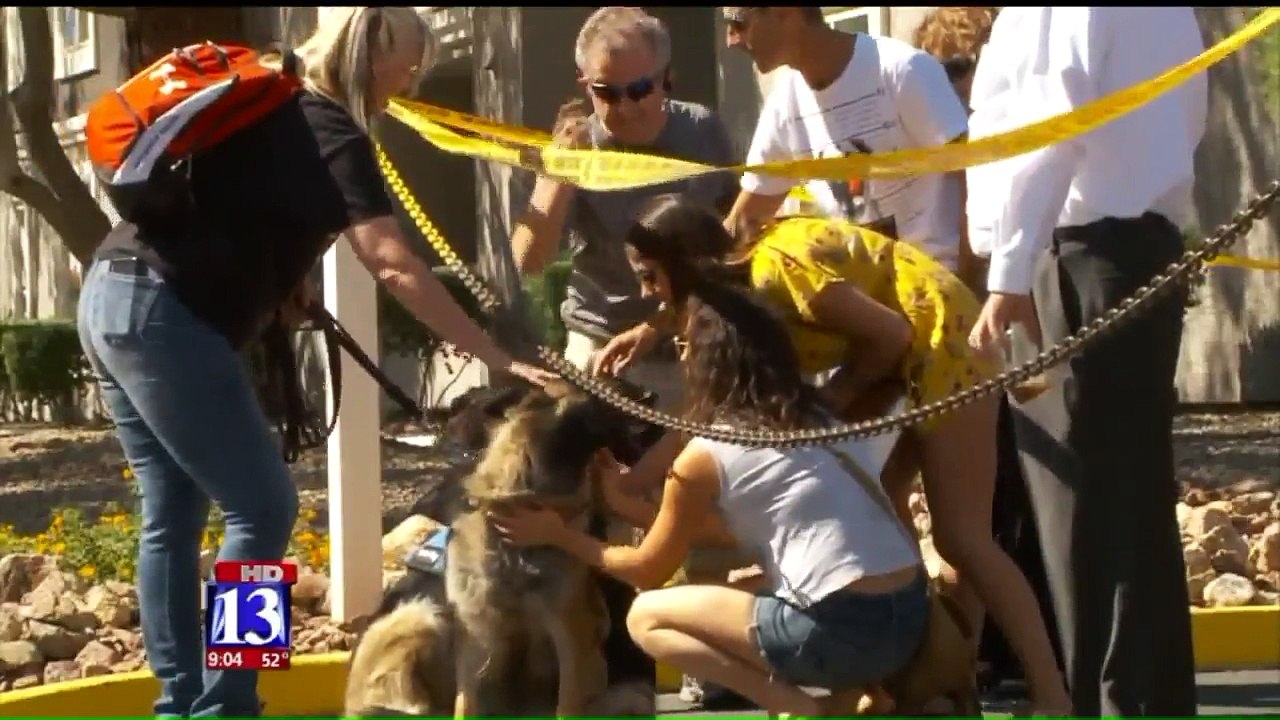 Woman Brings Comfort Dogs to Las Vegas Strip