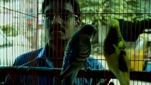 The Goose Inside. A Film by Aroon Che