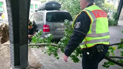 Tote und Verkehrschaos durch Orkantief  "Xavier"