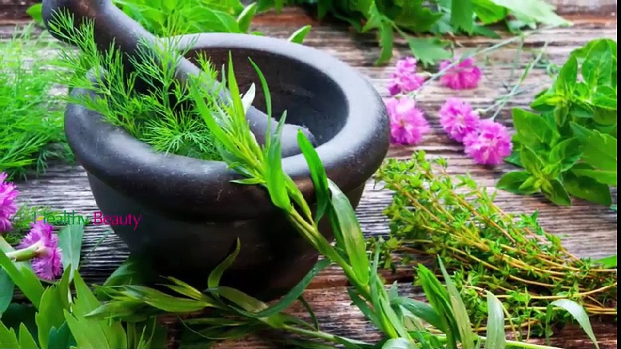 Top 4 Herbs for Diabetes Treatmenth