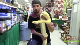 Any Good Pet Stores Out There..FOR REPTILES? SnakeHuntersTV