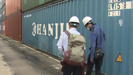 '붉은 불개미' 부산항 조사 이번주 내 마무리 / YTN