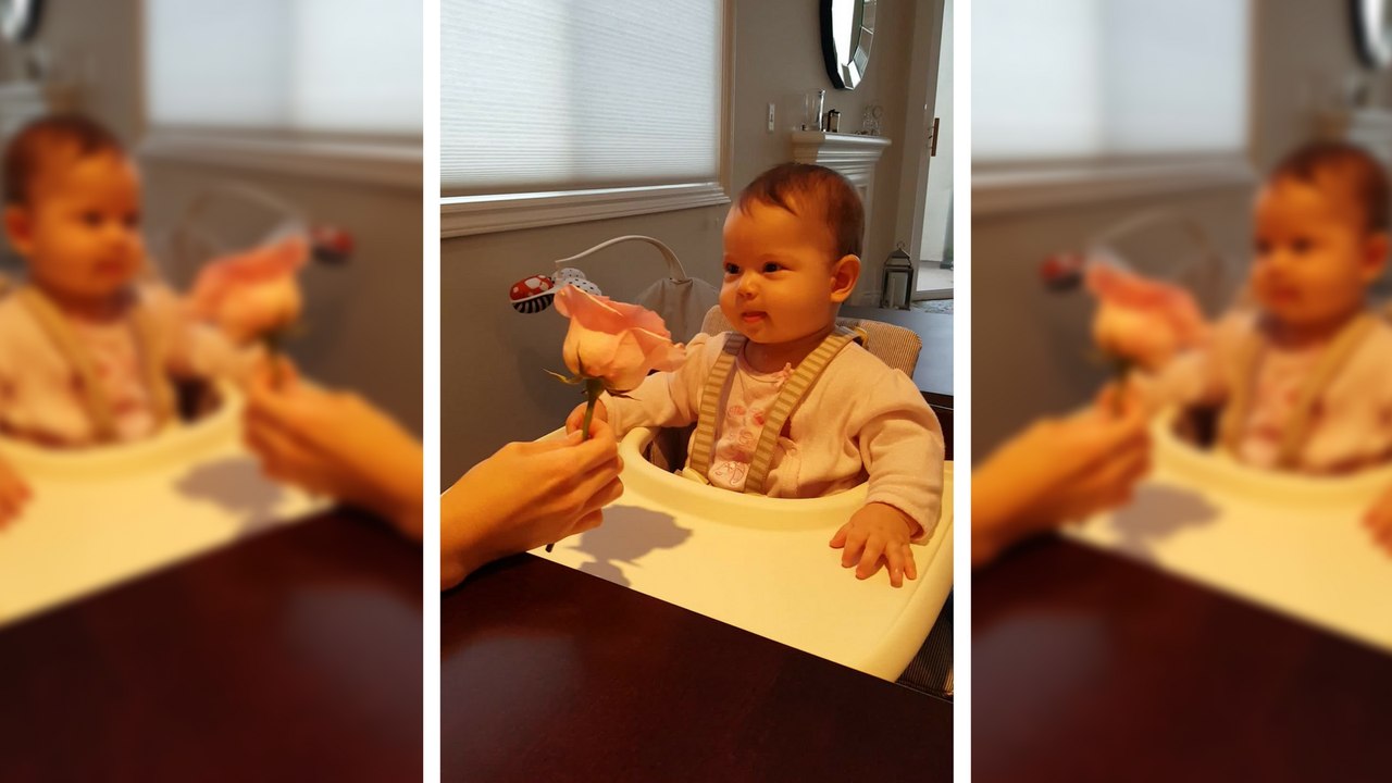 Bébé pour la première fois qu'il sent une fleur..Adorable