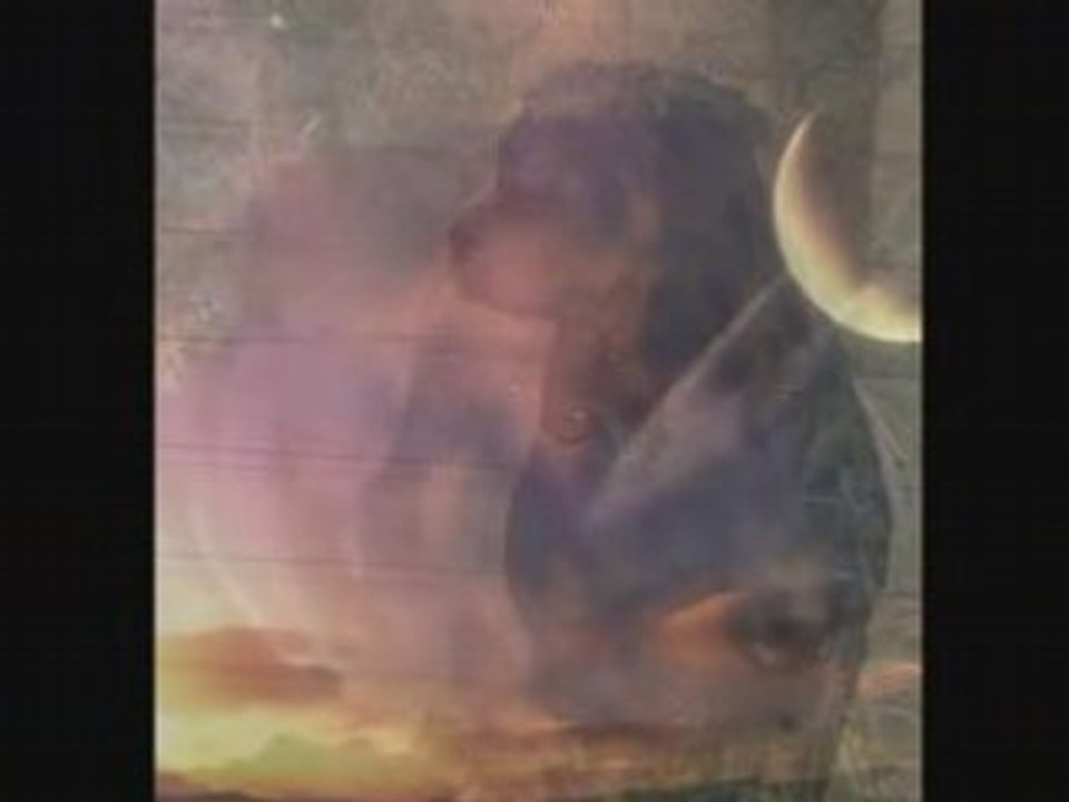 MIX DES DEESSES ETERNELLES 2007/2008