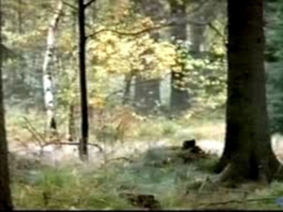 Margarita Breitkreiz Demo