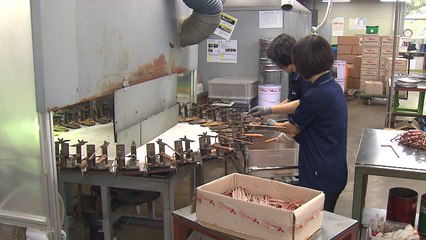 中 대체 시장 진출에 속도...베트남·인도 활기 / YTN